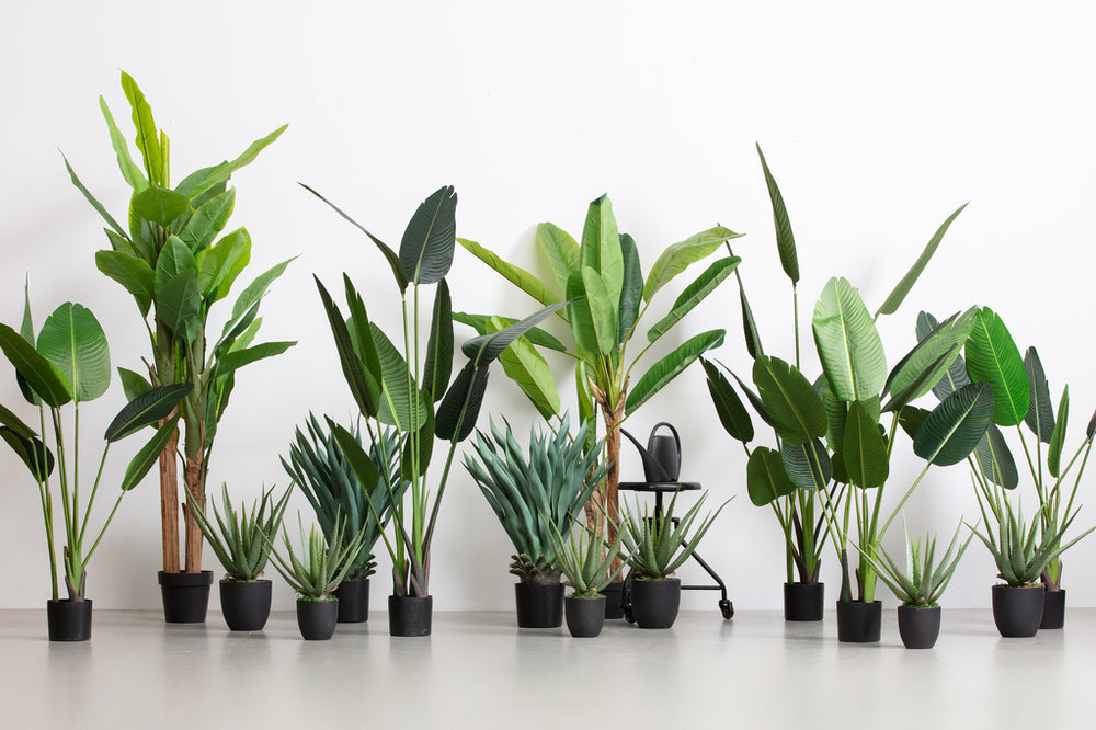 KUNSTPLANTEN