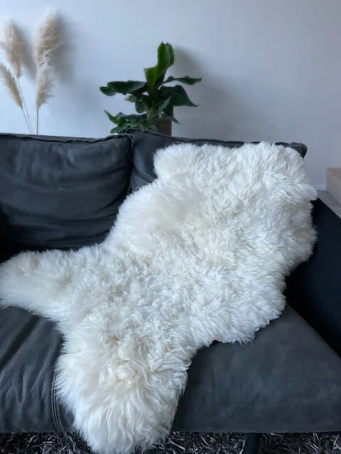 SCHAPENVACHTEN