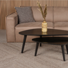 VLOERKLEED BLENDY 200X300 CM